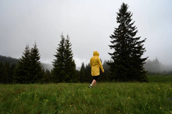Дівчинка Жовтій Куртці Йде Лузі Після Дощу Гуляє Відпочиває Горах — стокове фото