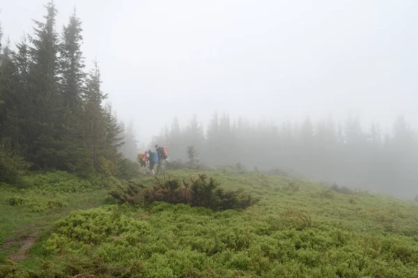 Vorokhta Ukraine June 2022 Tourists Bright Clothes Rest Carpathians Group — ストック写真