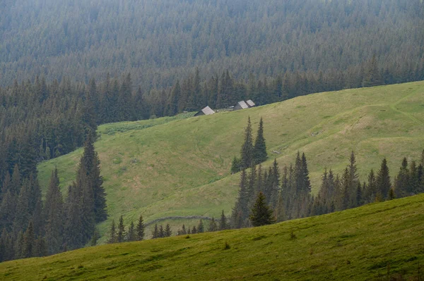 Domy Sezonowe Górach Domy Pasterzy Krów Owiec Karpatach Ukrainy Hodowla — Zdjęcie stockowe