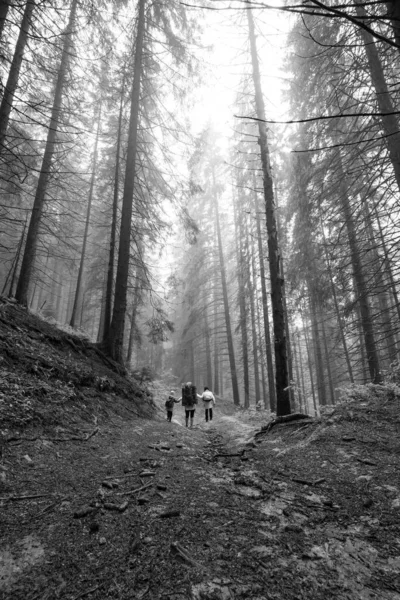 Ormanda Iki Çocuklu Sırt Çantalı Bir Anne Çocuklarla Yürüyüş Uzun — Stok fotoğraf