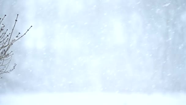 窓から雪が舞う 冬の雪の日 タイムラプスビデオ — ストック動画