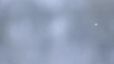 Flying snowflakes of snow from the window, winter snowy day.