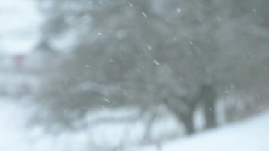Harika bir kış sabahı, kar yağışı ve hafif bir esinti, doğa gözlemleri. Yeni bir şey.