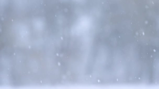 Літаючі Сніжинки Вікна Зимовий Сніжний День Відео Часовим Інтервалом — стокове відео