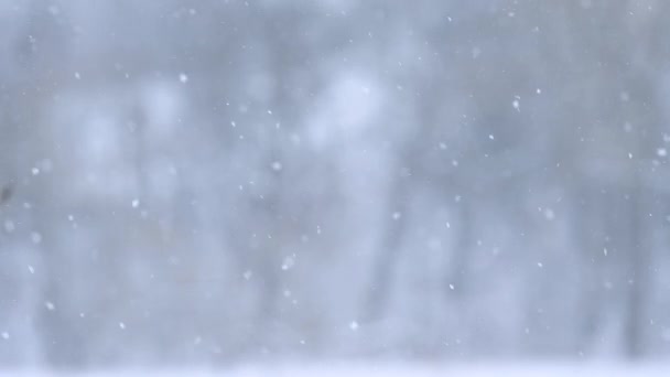 Copos Nieve Volando Desde Ventana Día Nevado Invierno Video Time — Vídeos de Stock