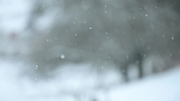 冬天和它的自然现象 雪地的缓慢移动 白天的降雪 窗外的景色 美丽而迷人的雪花景观 — 图库视频影像