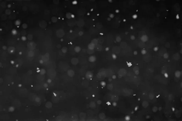 Flocons Neige Tombants Sur Fond Ciel Nocturne Isolés Pour Post — Photo