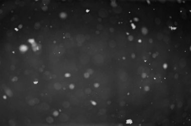 Siyah arkaplandaki Bokeh beyaz kar. Kar yağışı - yeni tasarım ögesi.