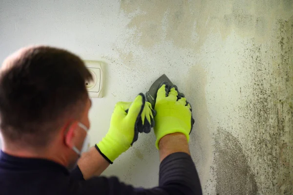 Grauschimmel Und Pilz Der Wand Des Raumes Die Auswirkungen Hoher — Stockfoto