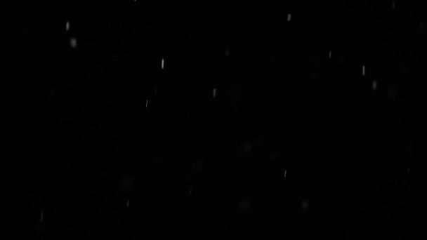 Tombé Flocons Neige Sur Fond Ciel Nocturne Isolé Pour Post — Video