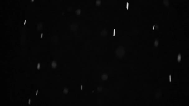 Queda Flocos Neve Fundo Céu Noturno Isolado Para Pós Produção — Vídeo de Stock