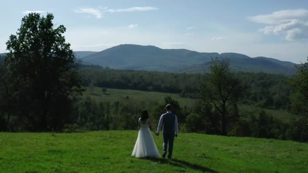 Pistyn Village Ukraine October 2020 Brides Walk Meadow Carpathians New — Stock Video