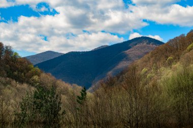 Ukrayna 'nın Transcarpathian bölgesindeki Karpatlar' ın manzarası, güneşle aydınlanan bahar dağları, dağların başındaki ilkbahar..