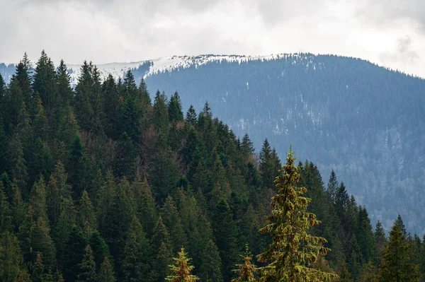 Der Gipfel Des Berges Nebel Der Morgennebel Den Bergen Einer — Stockfoto