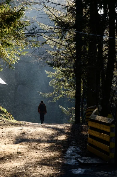 Hombre Camina Por Los Senderos Del Bosque Niebla Los Rayos — Foto de Stock