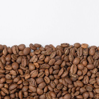 Kahve çekirdekleri beyaz arka planda geniş bir sıraya dizilmiş, yazı ve reklamlar için yer, kopyalama alanı.