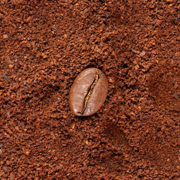 Ground coffee ready for brewing, top view of coffee, one bean lying on ground coffee.