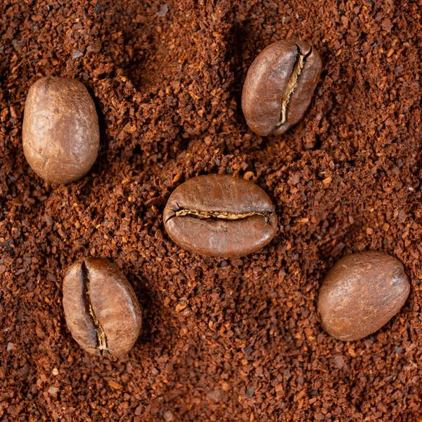 Three coffee beans lie on ground coffee close-up, roasted and ground coffee.