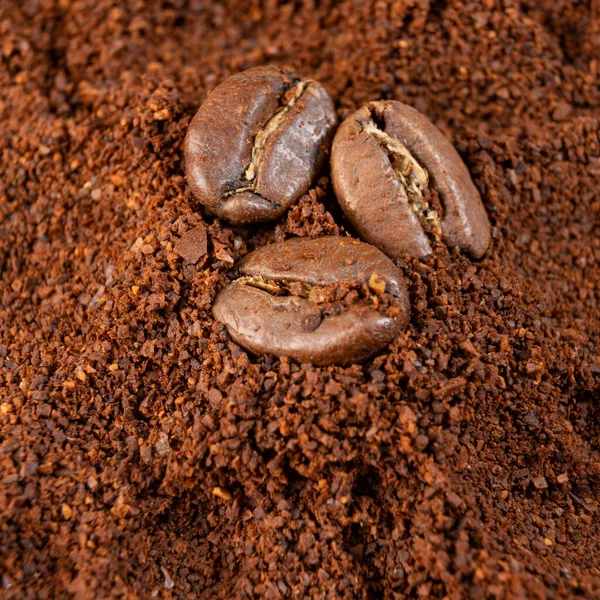 Three coffee beans lie on ground coffee close-up, roasted and ground coffee.
