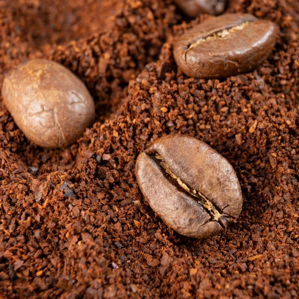 Three coffee beans lie on ground coffee close-up, roasted and ground coffee.