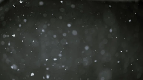 Caída Copos Nieve Fondo Del Cielo Nocturno Aislado Para Postproducción — Foto de Stock