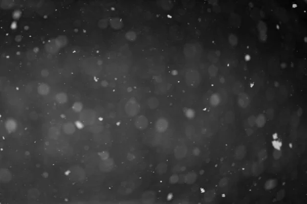 在夜空背景上飘落的雪花被隔离 用于后期制作和覆盖在图形编辑器中 方块黑色背景上的白雪 — 图库照片