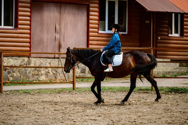 Voivodia Ucrânia Maio 2021 Treinando Para Andar Cavalo Andar Cavalo — Fotografia de Stock