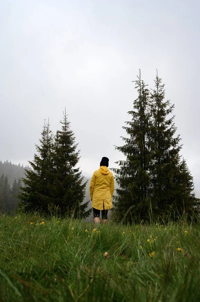 Girl Yellow Jacket Walks Meadow Rain Walk Rest Mountains Hike — Stock Fotó