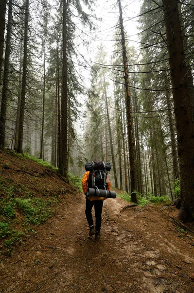 Tourist Hiking Large Backpacks Carpathians Tourists Hike — ストック写真