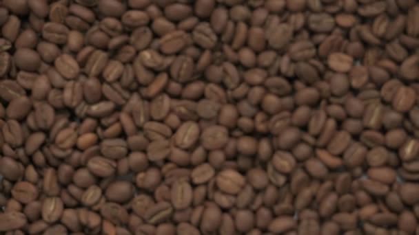 Video Close Coffee Beans Coffee Beans Texture Zooming Coffee — Stock Video