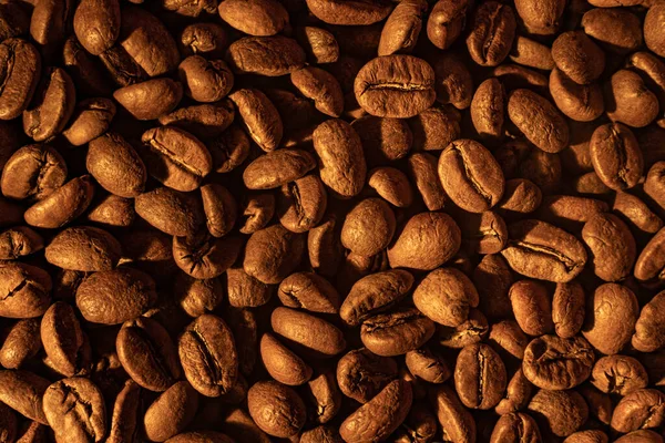 Texture of coffee beans, light soft light and steam from coffee, roasted coffee beans close-up.