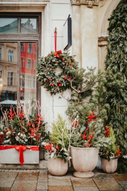 Kış süslemeleri, köknar ağacı, koniler ve rowan. Yeni yıl için şehirdeki evleri dekore ediyor.
