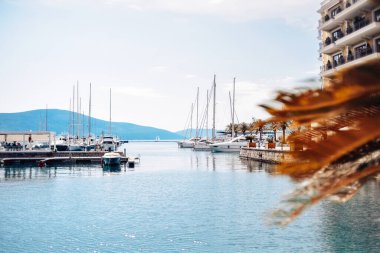 Karadağ. Tivat. 05/16/2022 . Deniz kenarındaki muhteşem güzel yerler, palmiye ağaçları, botlar, restoranlar ve deniz kenarında dinlenme.