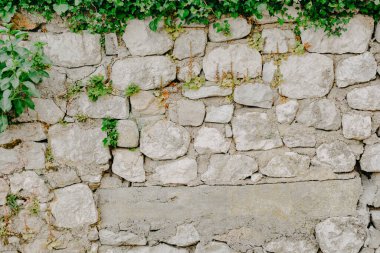 Arka plandaki doku, taşları yeşilleniyor..