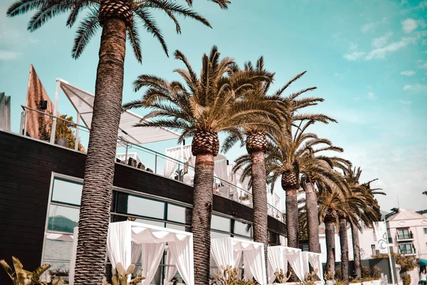 Lounge place by the sea, restaurant, palm trees against the sky. Restaurant, beach cafe