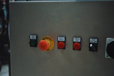 Zeytin yağı fabrikası. Fabrikası olan bir zeytin çiftliği. Zeytin yağı ve ambalaj makineleri