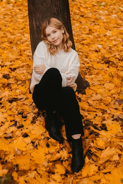 Una Hermosa Morena Sienta Parque Otoño Una Joven Con Una — Foto de Stock