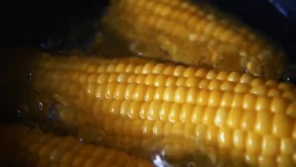 Narancslédús Kukoricát Sóval Főzzük Vízben Kukorica Forró Vízben Egy Csészealjban — Stock videók
