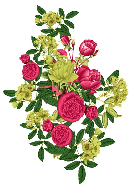Rose Flower Design White Background — Zdjęcie stockowe