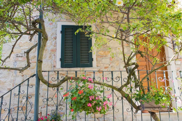 Brickstone Old Charming House Flowers Climbing Plants Fortunago Italy — Zdjęcie stockowe