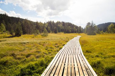 Pian di Gembro natural park landscape, with wooden pathway to the forest and mountains in the horizon. Piani di Gembro natural park, Valtellina, Italy.