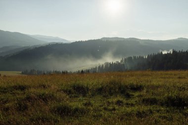 Yaz dağlarıyla güzel bir manzara 