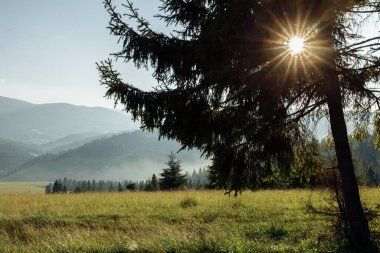 Yaz dağlarıyla güzel bir manzara 