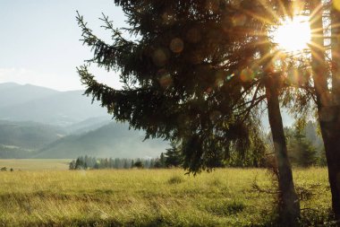 Yaz dağlarıyla güzel bir manzara 