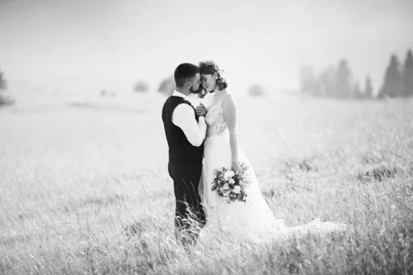 Black Ans White Image Young Wedding Couple Love Posing — Stock Photo, Image