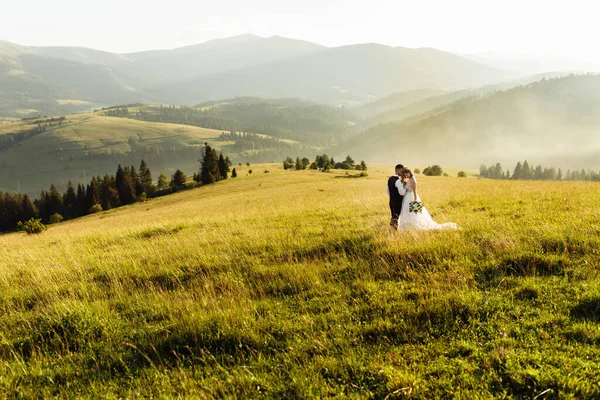 美しい若い結婚式のカップルが山の中でポーズをとって — ストック写真