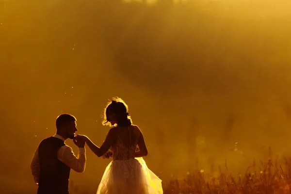 Hermosa Pareja Boda Amor Posando Durante Puesta Del Sol —  Fotos de Stock