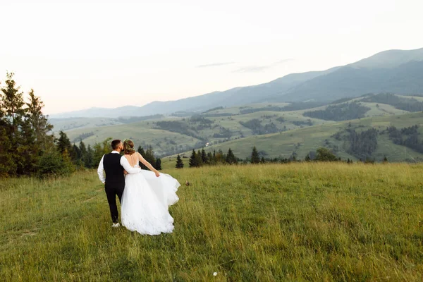 Schönes Hochzeitspaar Verliebt Die Natur — Stockfoto