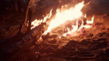 Bright flame of burning bonfire in dark on background of pine forest. Burning branches in the fire, tongues of flame. Hiking. Tourism. Travel. Lifestyle Go Everywhere