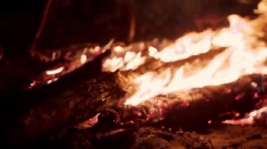 Bright flame of burning bonfire in dark on background of pine forest. Burning branches in the fire, tongues of flame. Hiking. Tourism. Travel. Lifestyle Go Everywhere